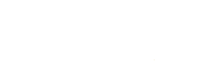 SENANG303